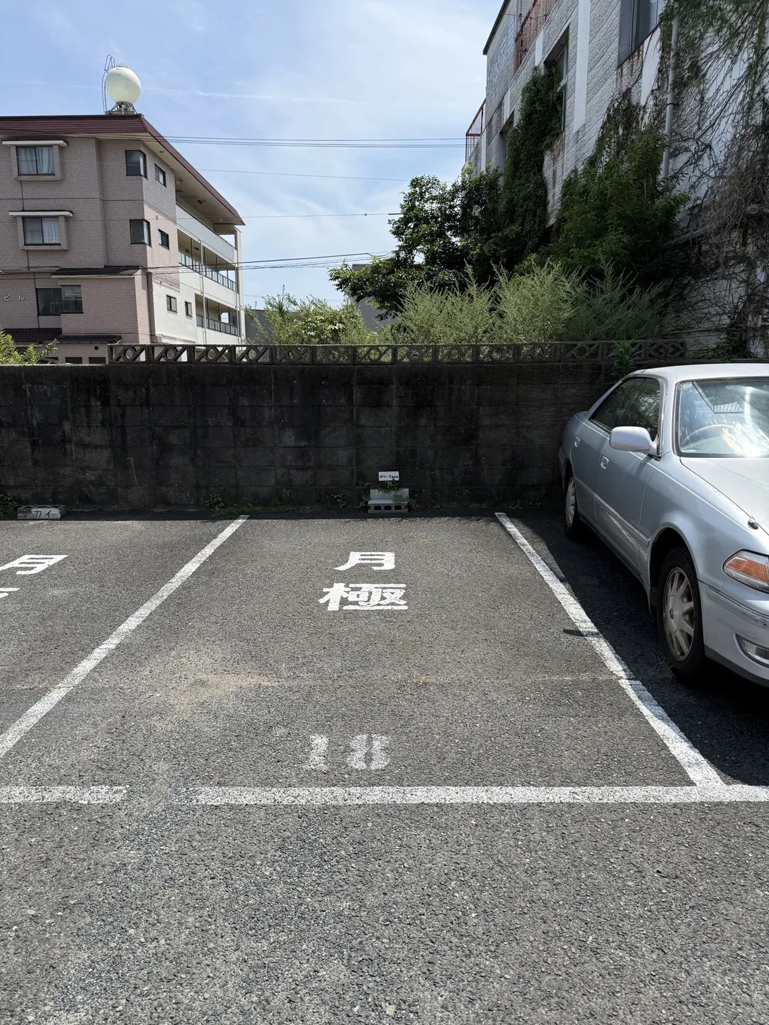 駐車場の路面に白字で「月極 18」と表示された駐車区画。